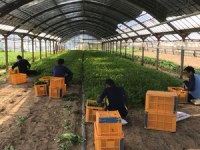 はまゆうワークセンター宗像