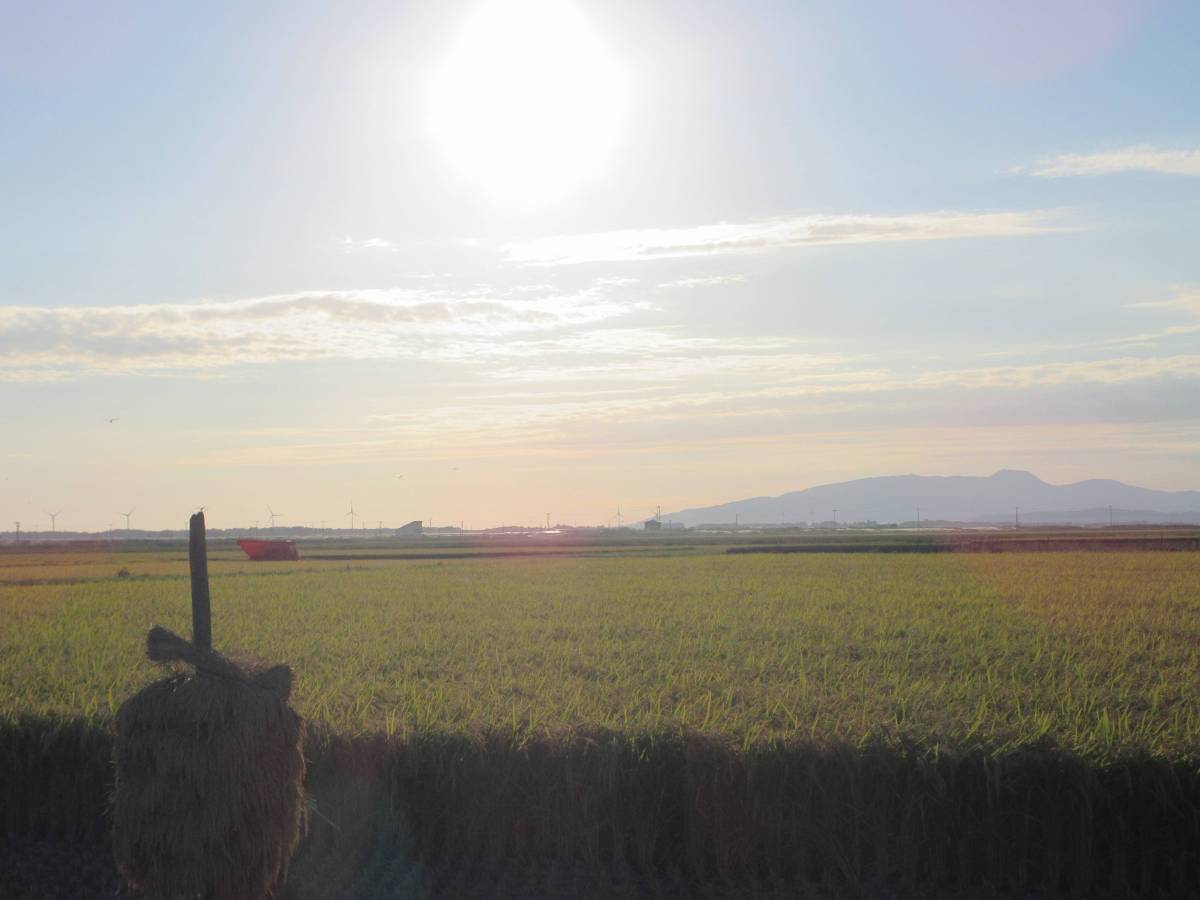 どんぐりの森工房（飯田川つくし苑）
